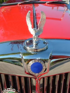 This photo of a British Roadster with the elegant hood ornament ... a symbol of Luxury ... was taken by Brad Harrison of Pierceland, Canada.